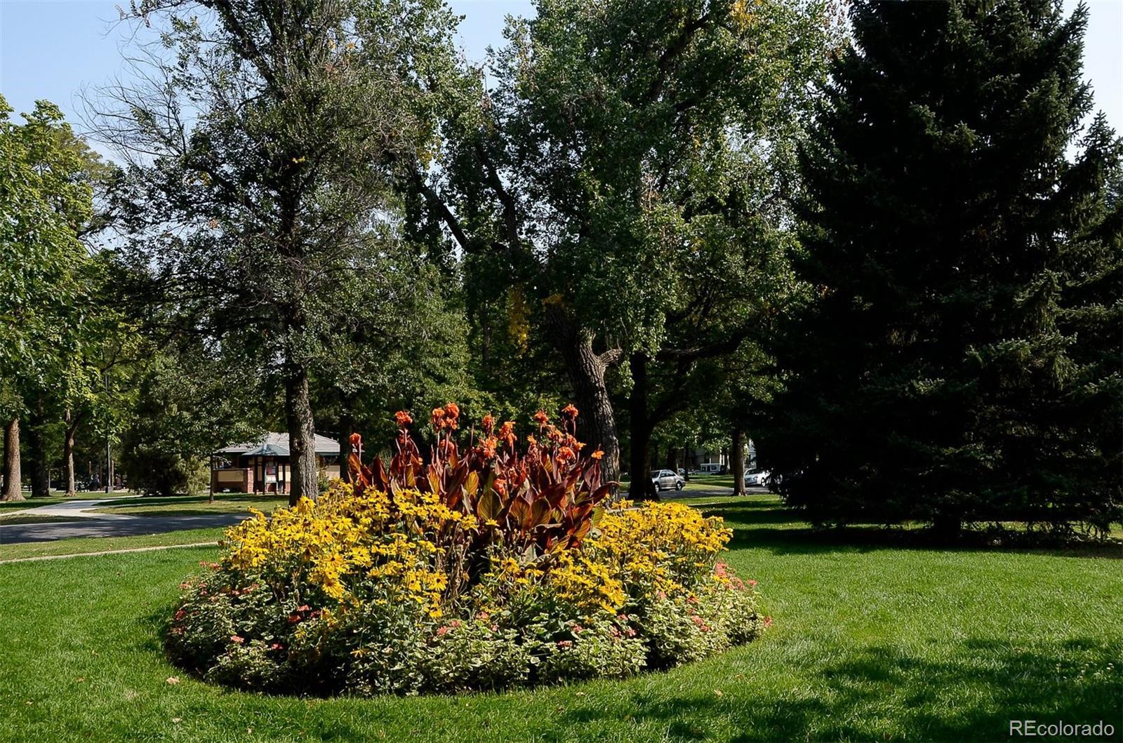 Photo #15