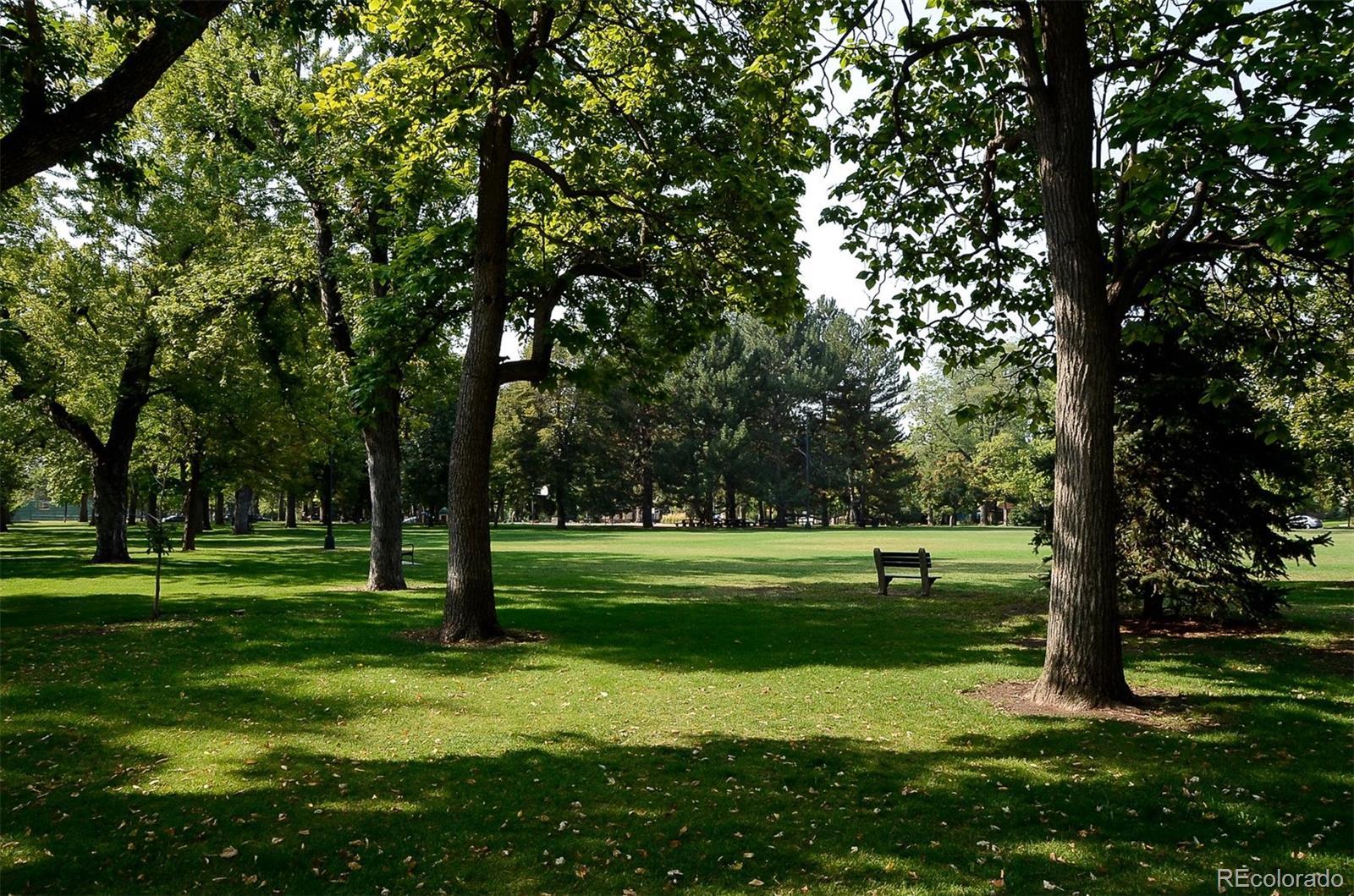 Photo #13