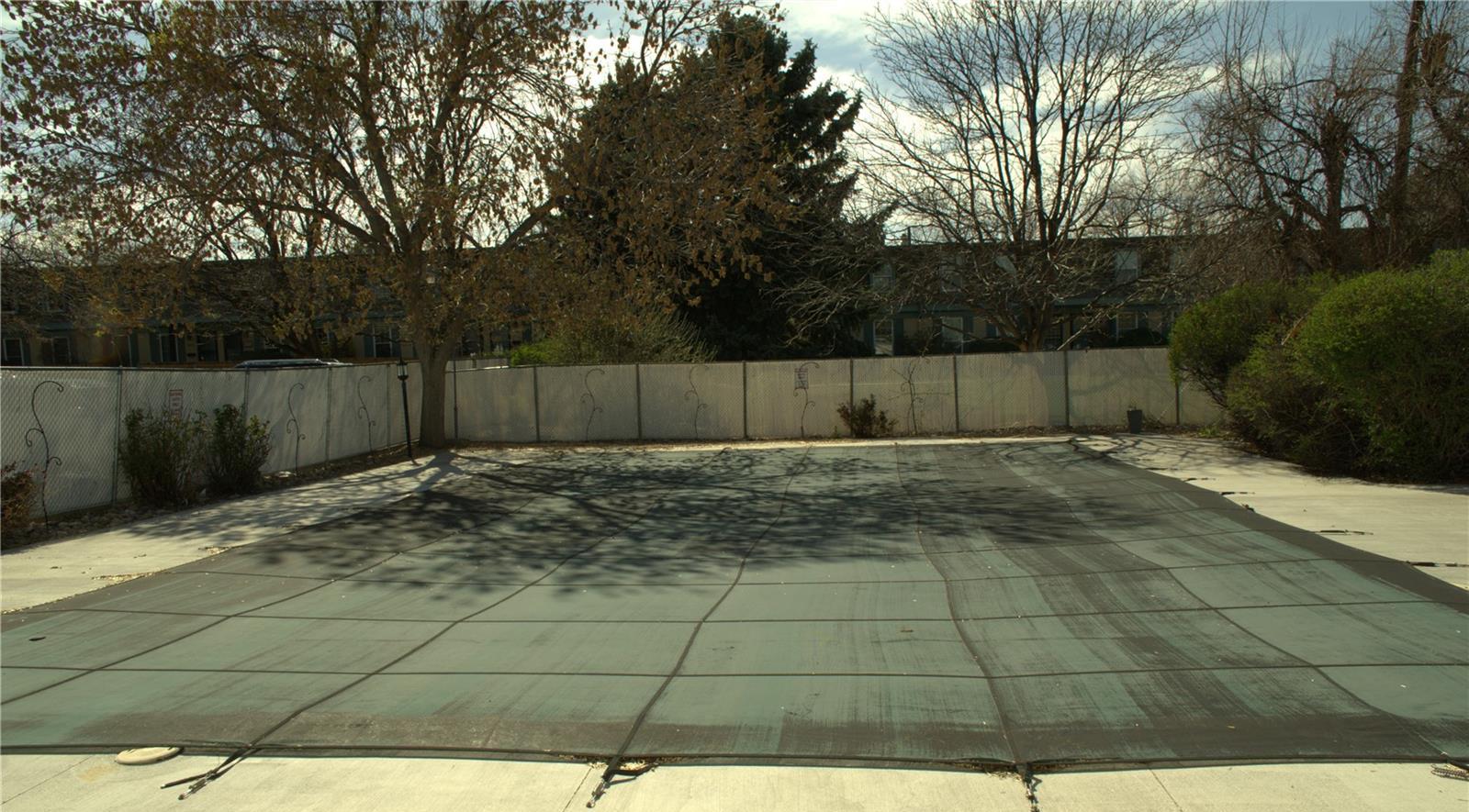 Photo #13