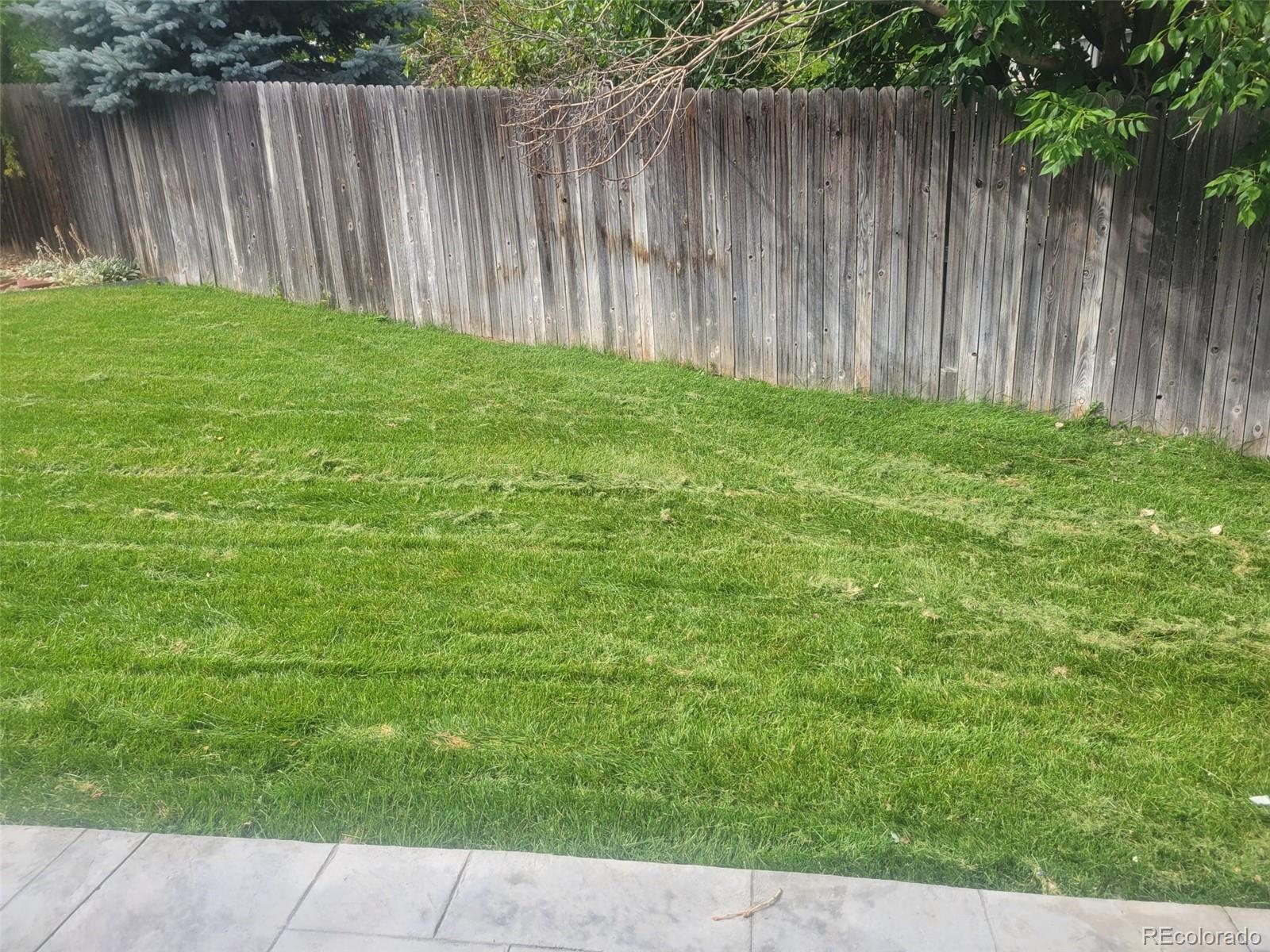 Photo #23