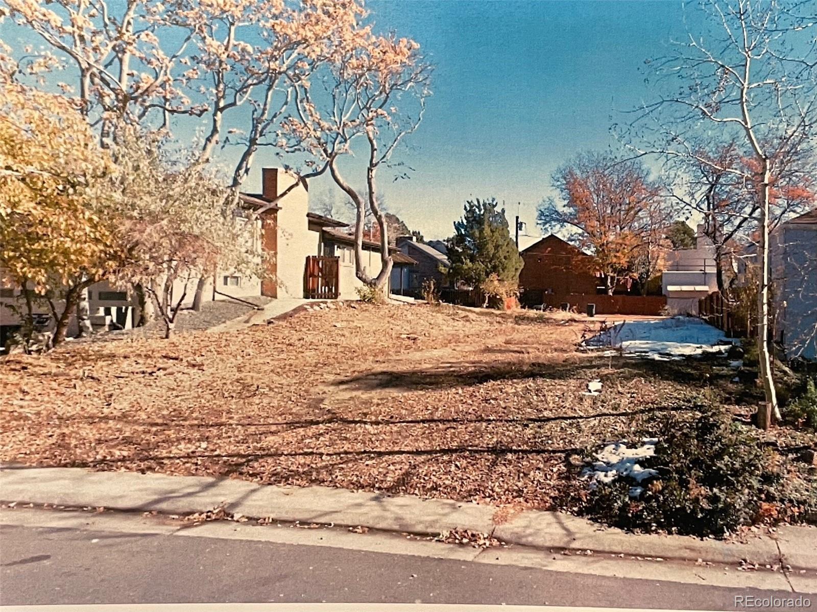 Photo #9