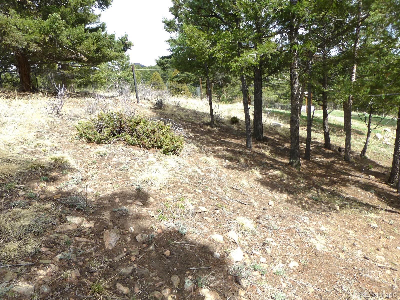 Photo #31
