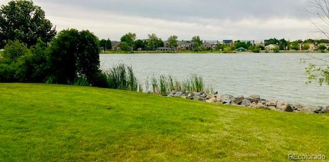 Photo #4
