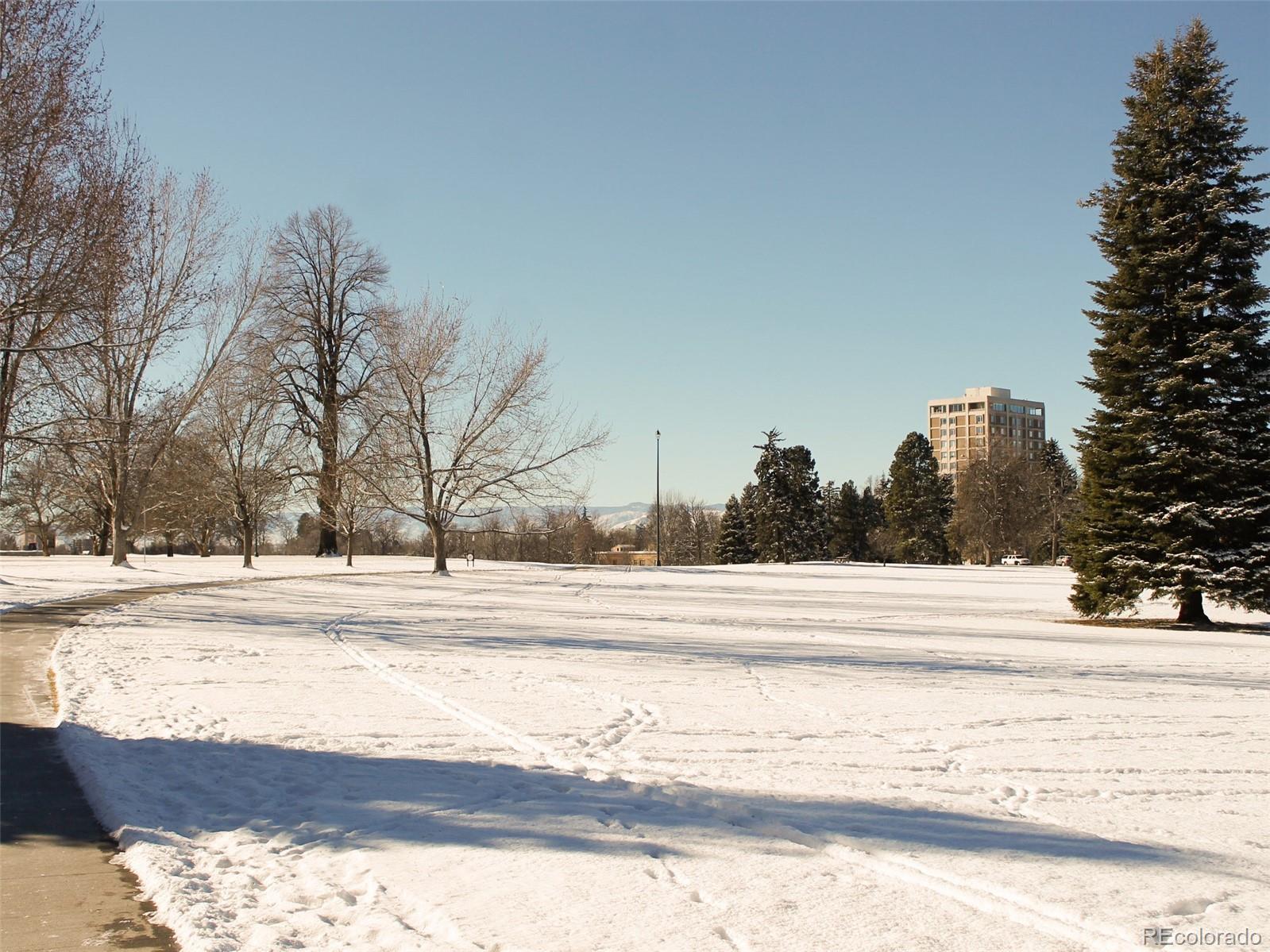 Photo #33