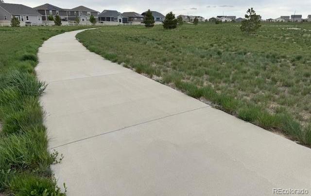 Photo #35