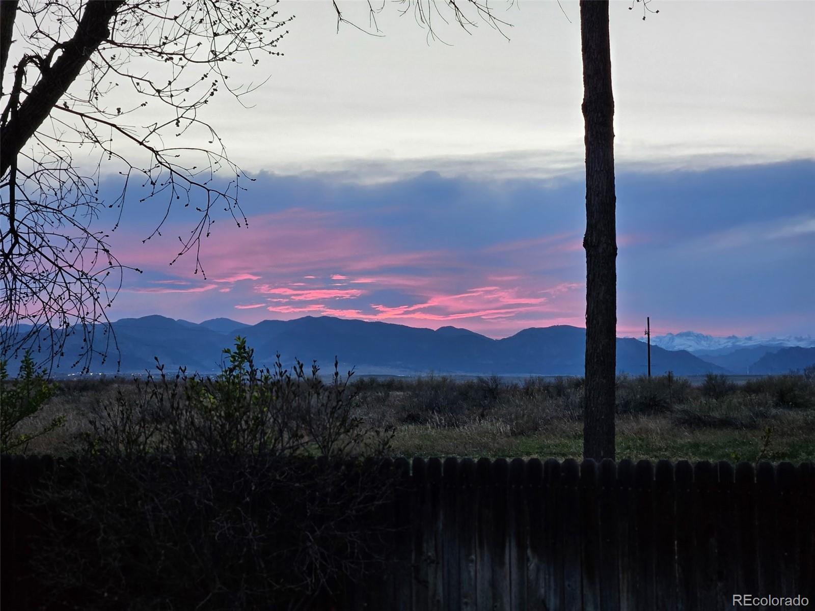 Photo #41