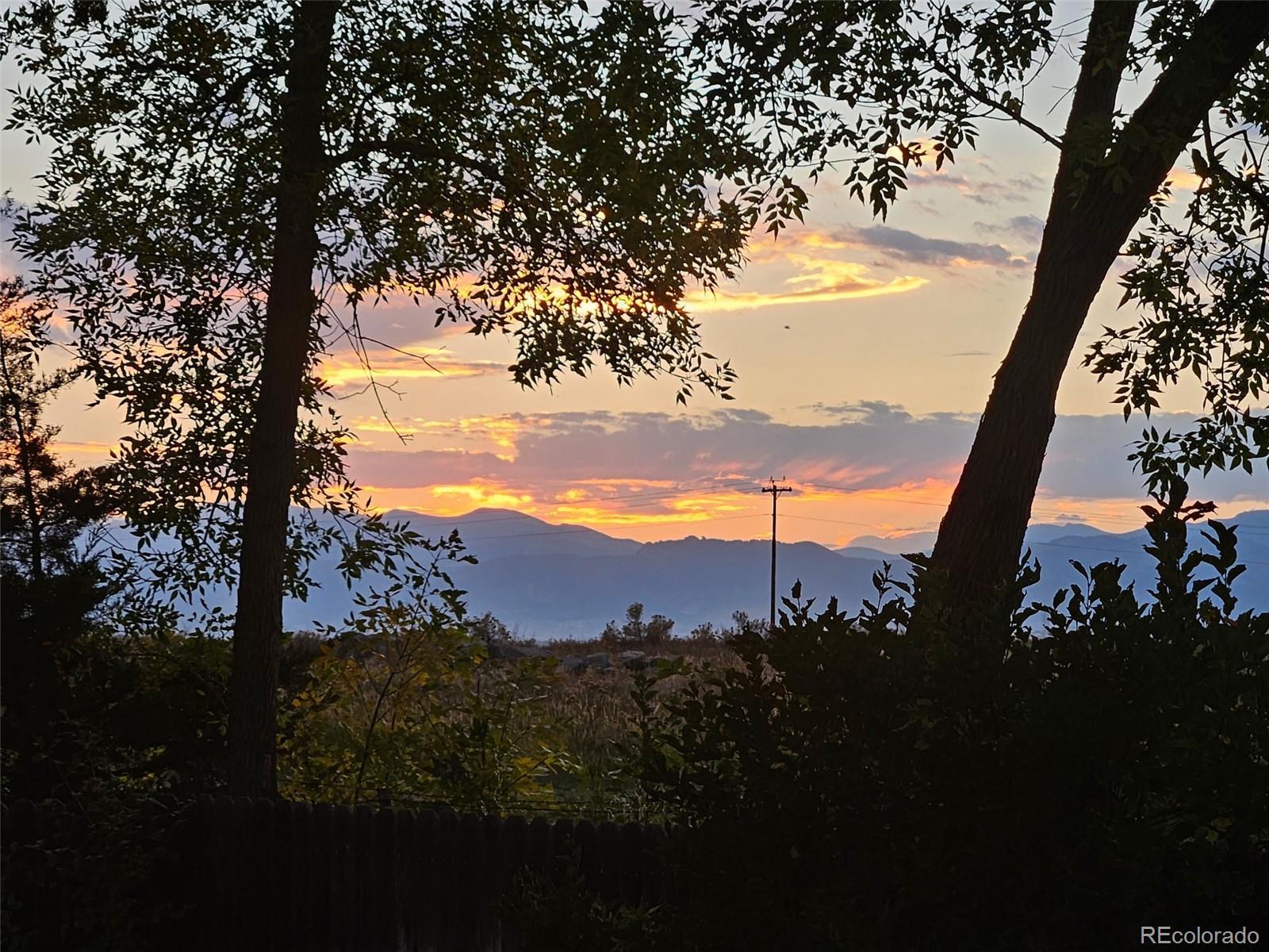 Photo #36