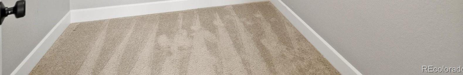 Photo #14