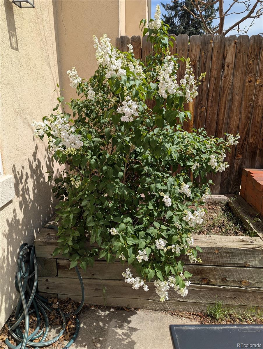 Photo #33