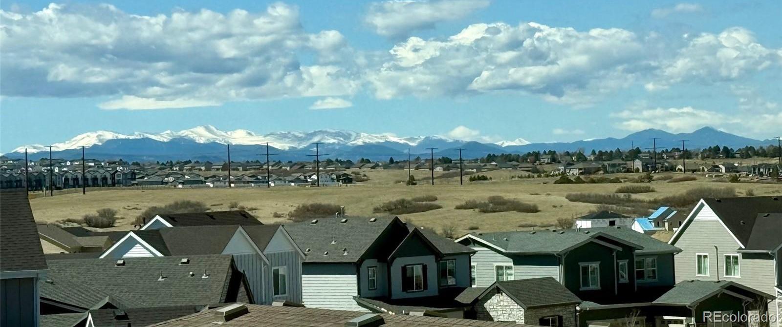 Photo #22