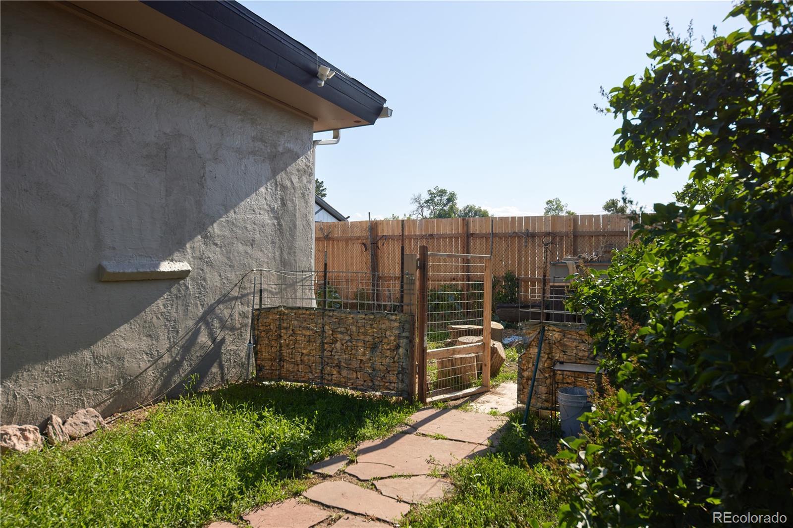 Photo #8