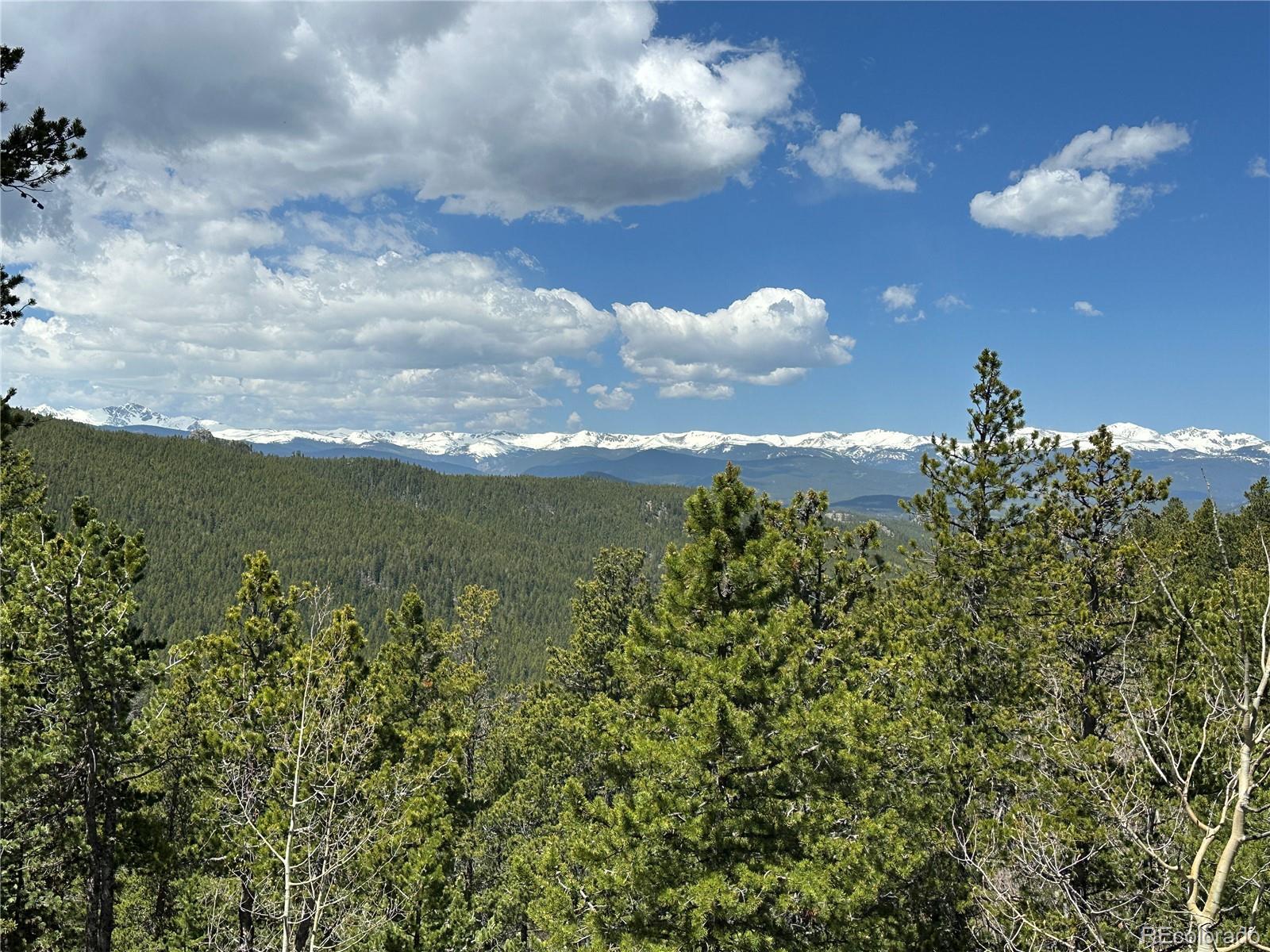 Photo #43