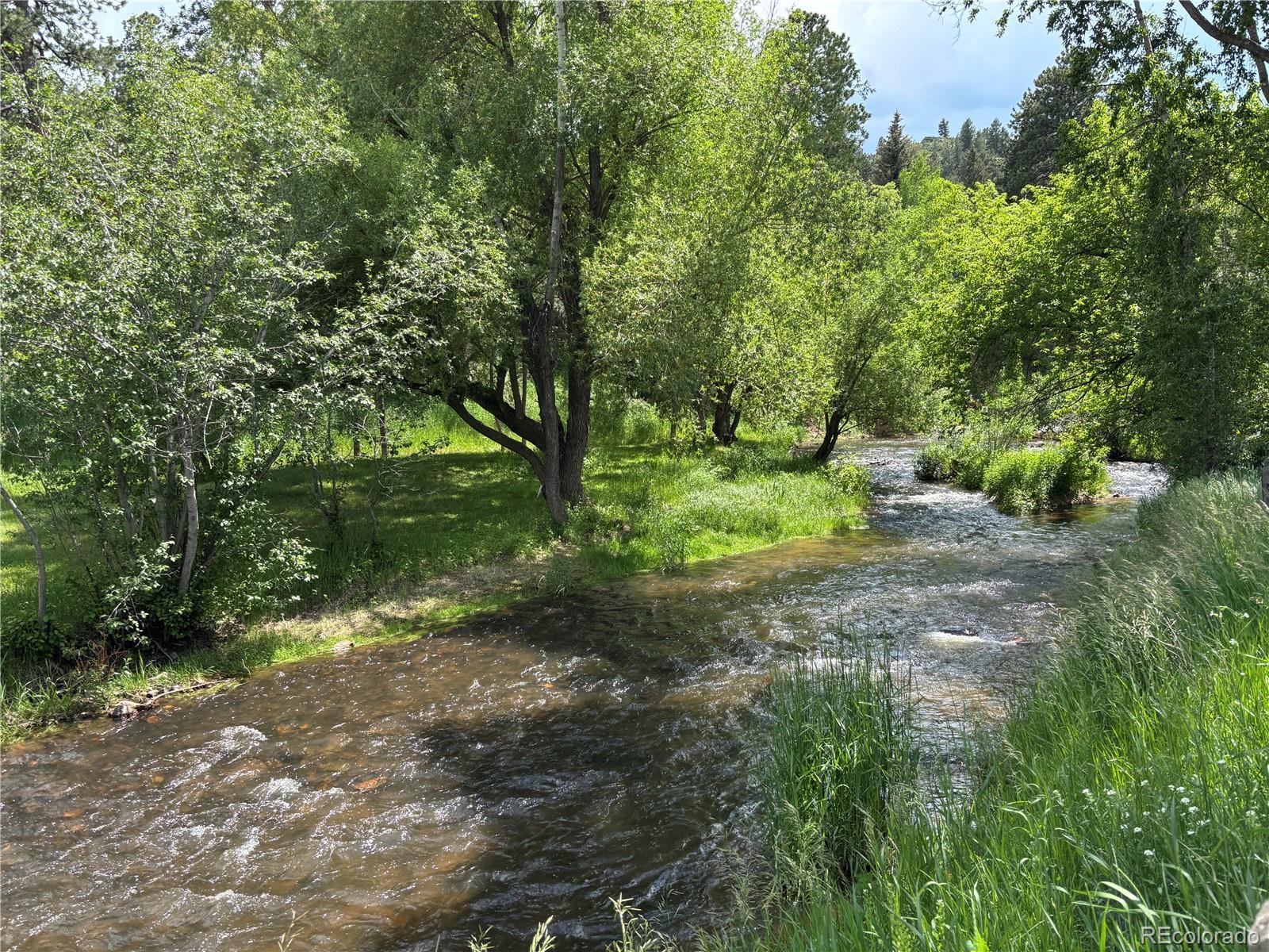 Photo #48