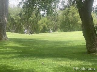 Photo #34