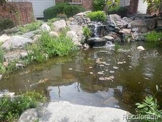 Photo #31