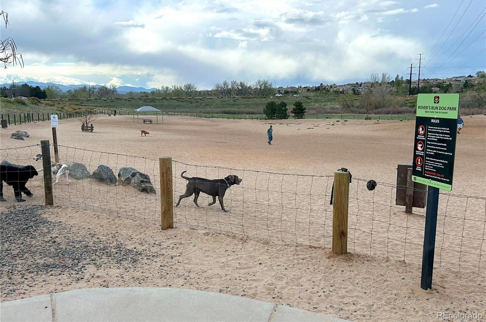 Photo #44