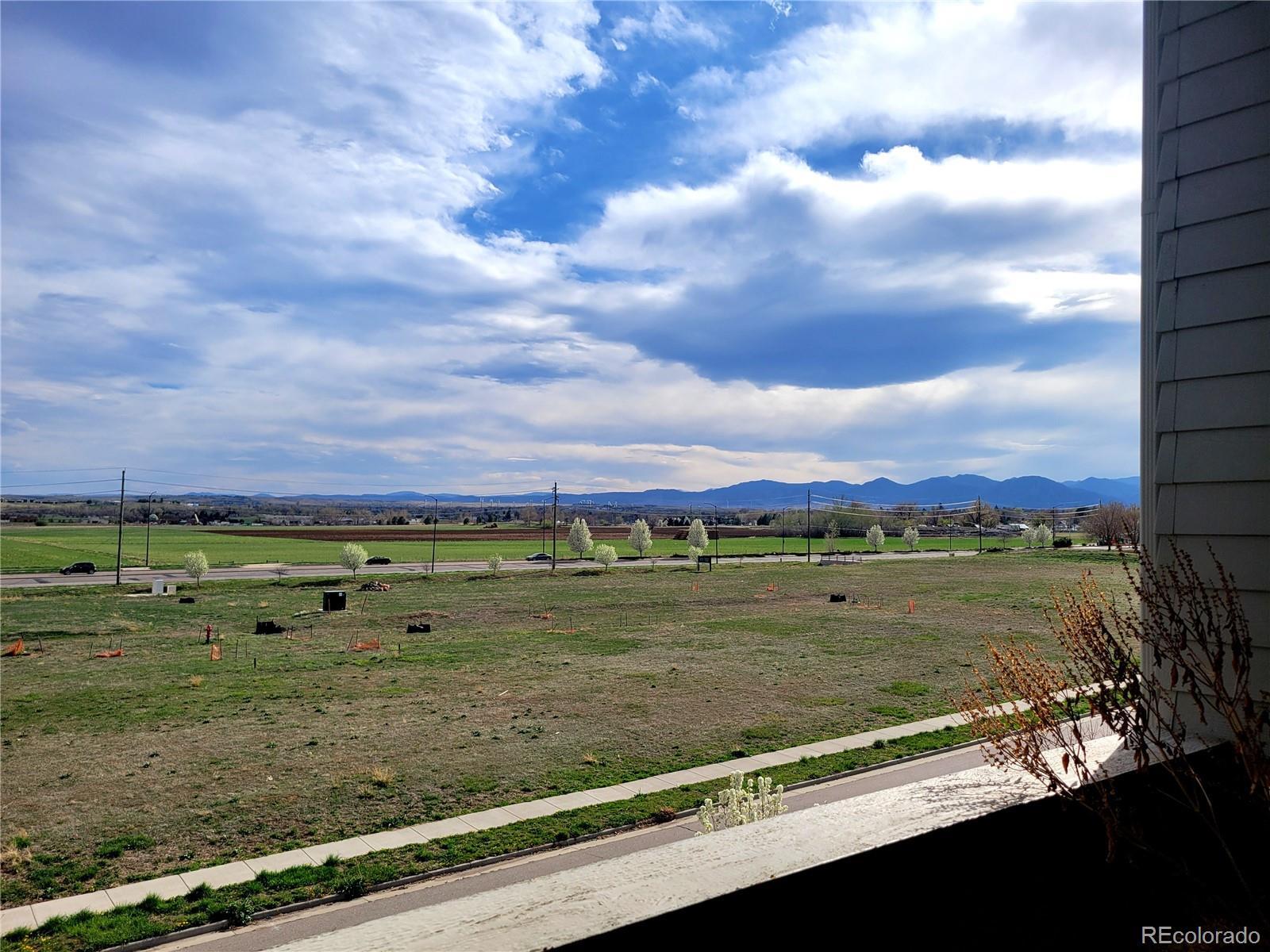 Photo #19