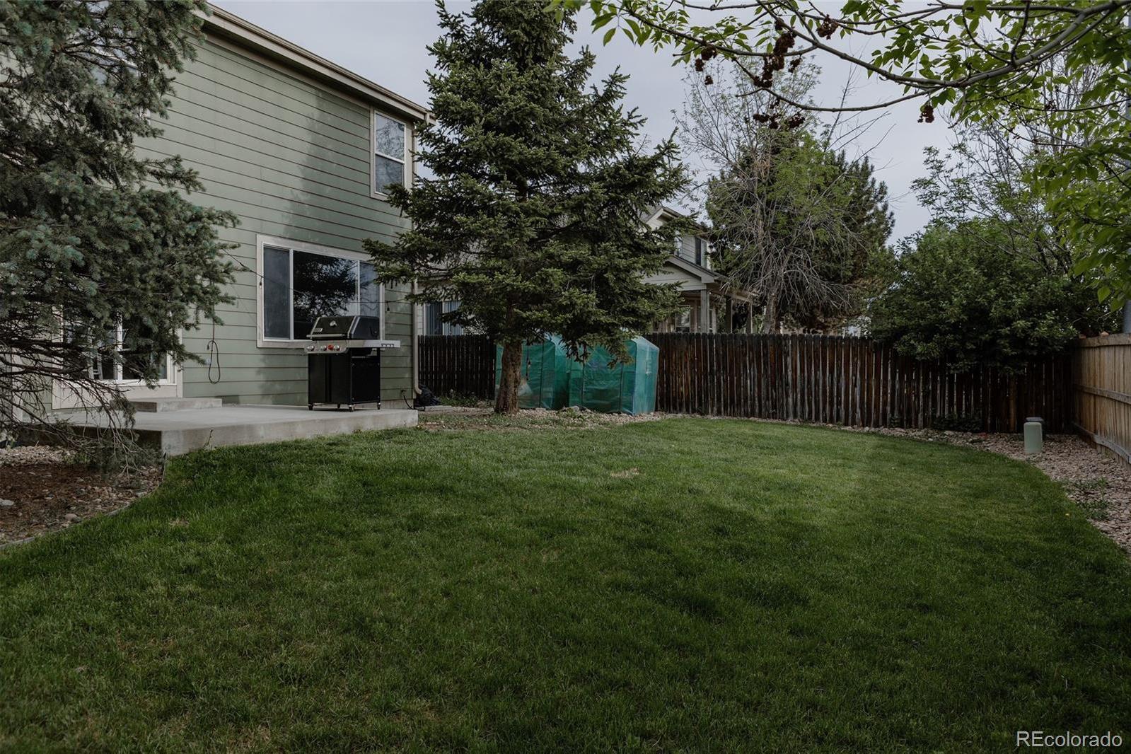 Photo #36