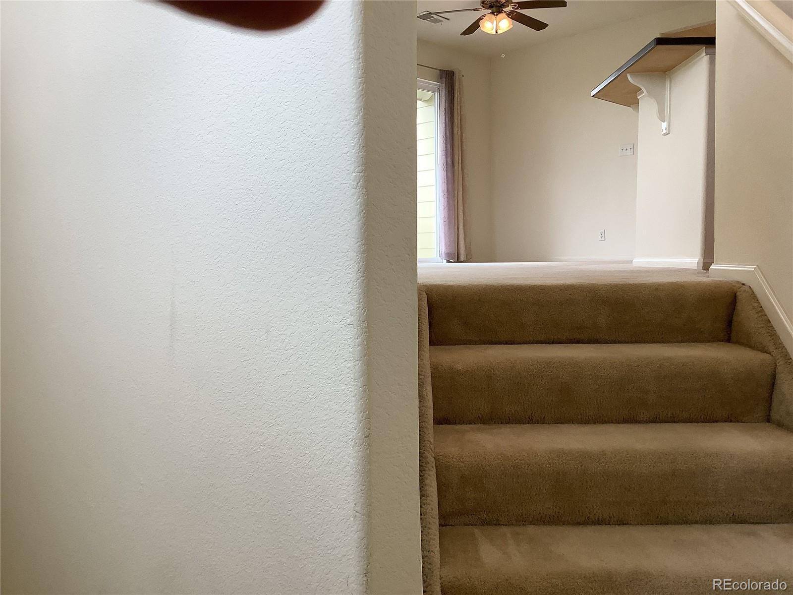 Photo #31