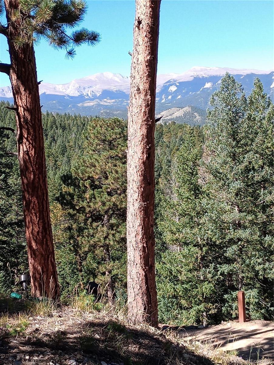 Photo #41