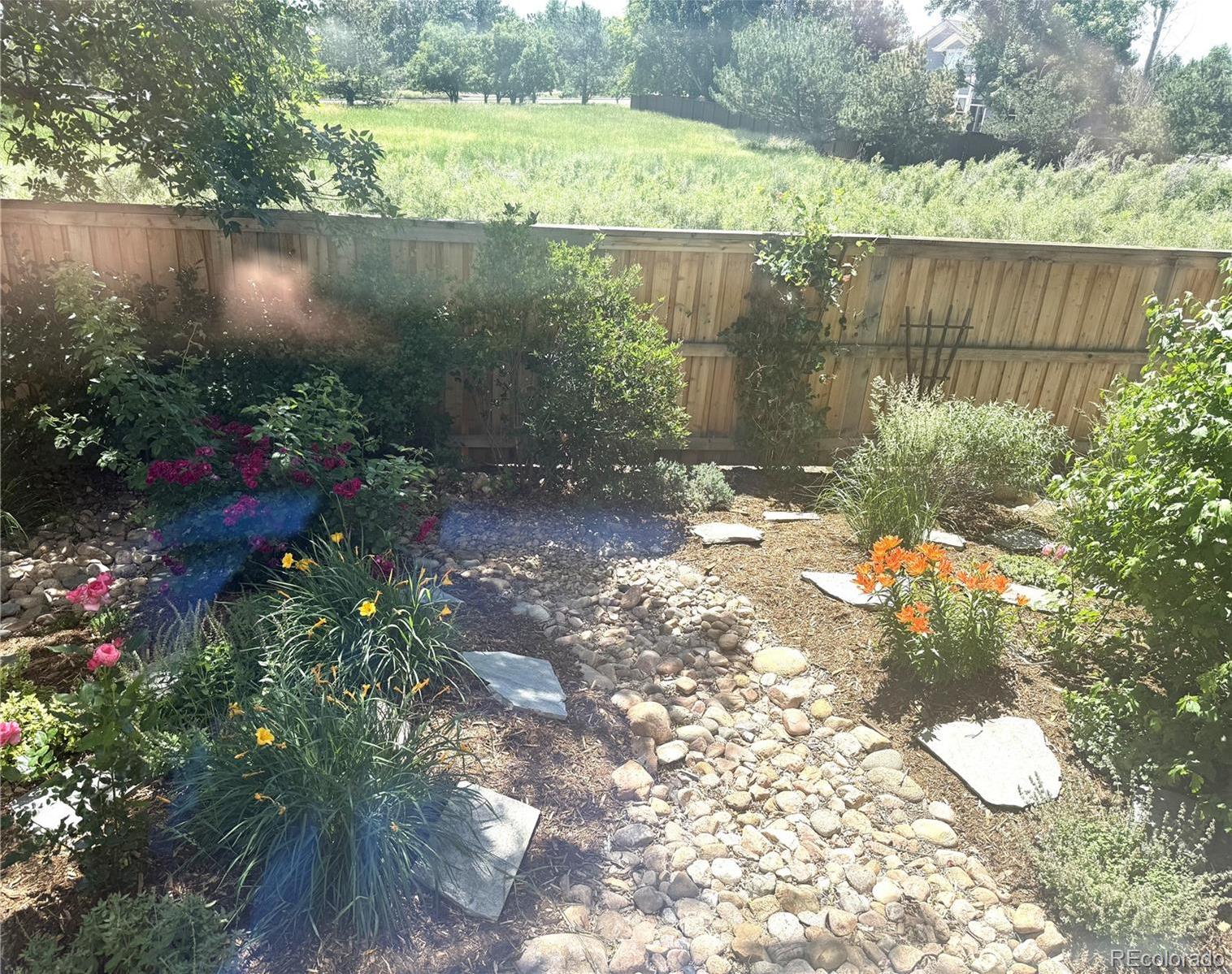 Photo #29