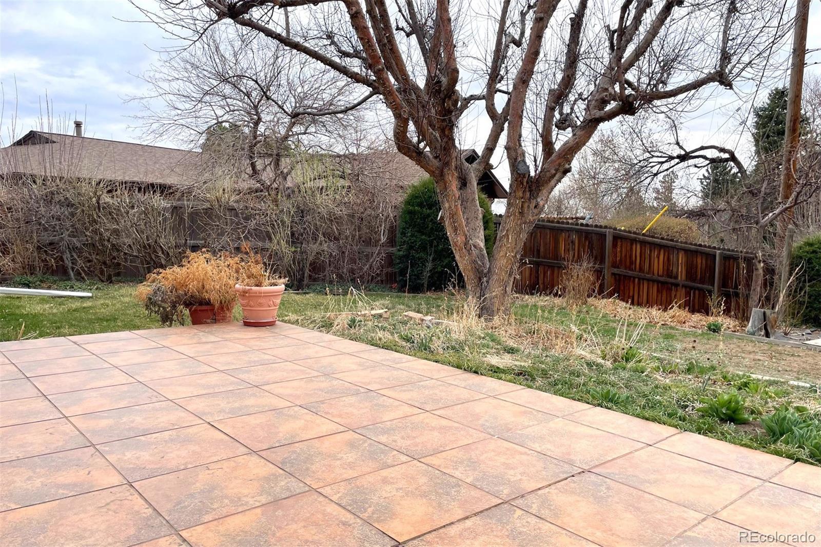 Photo #16