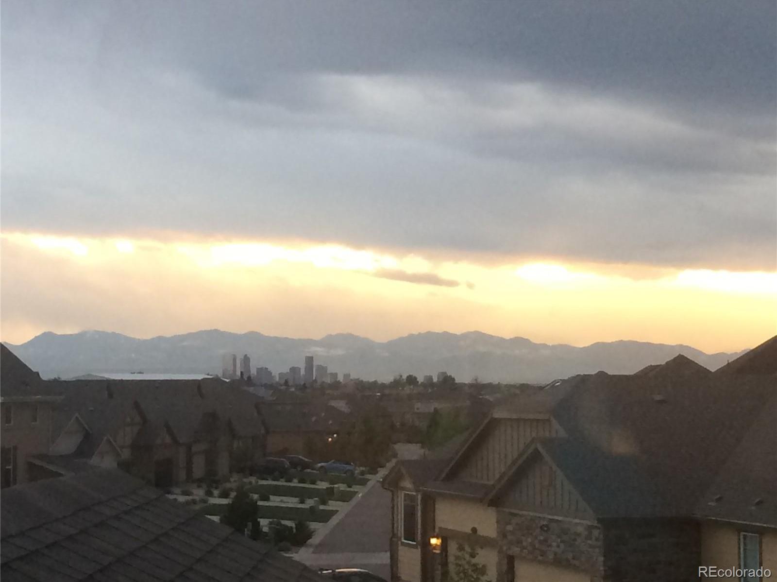 Photo #41