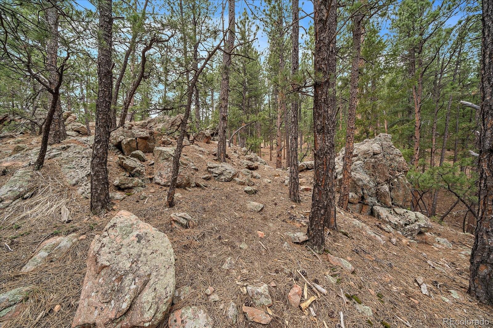 Photo #36