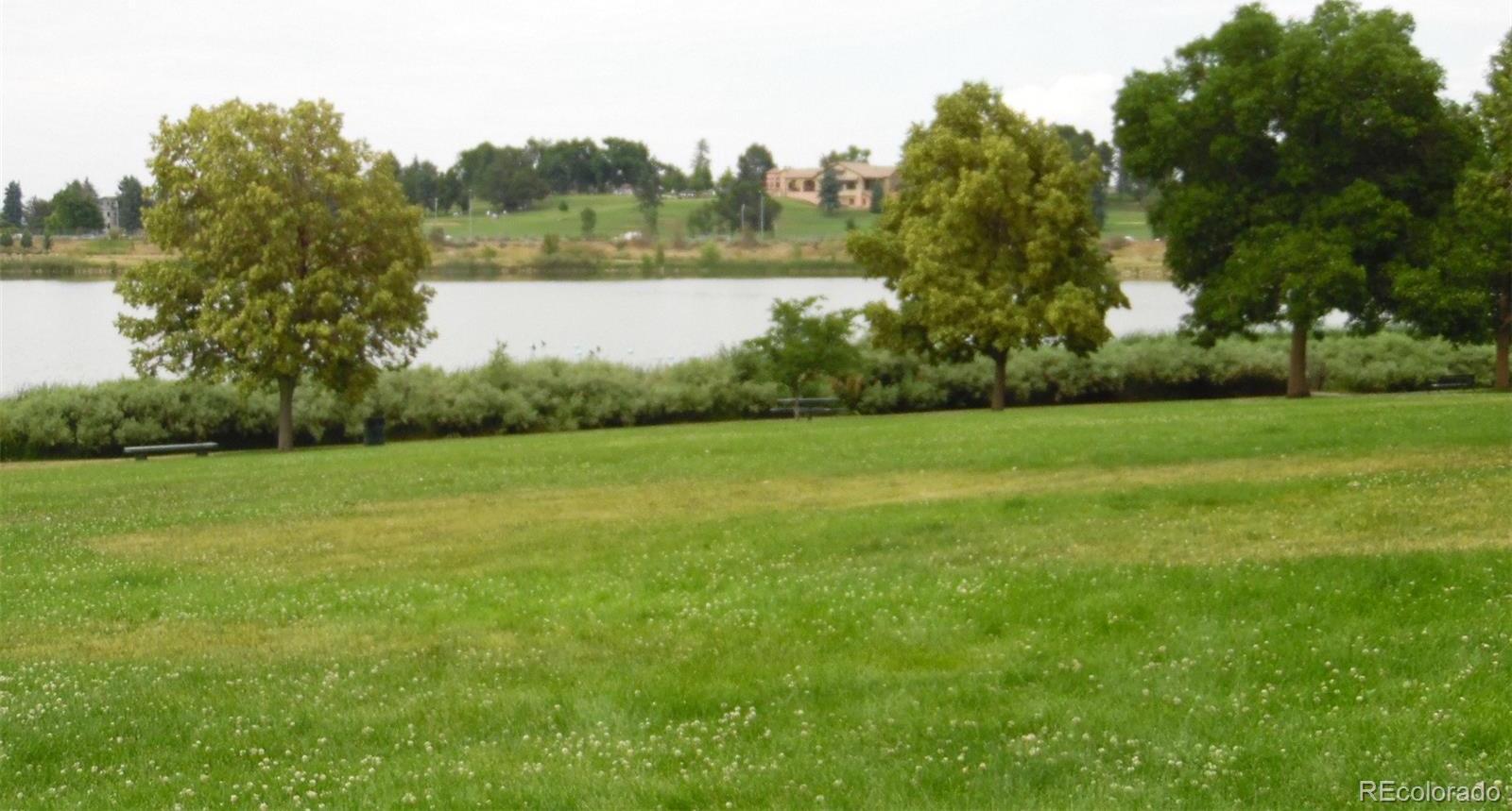 Photo #37