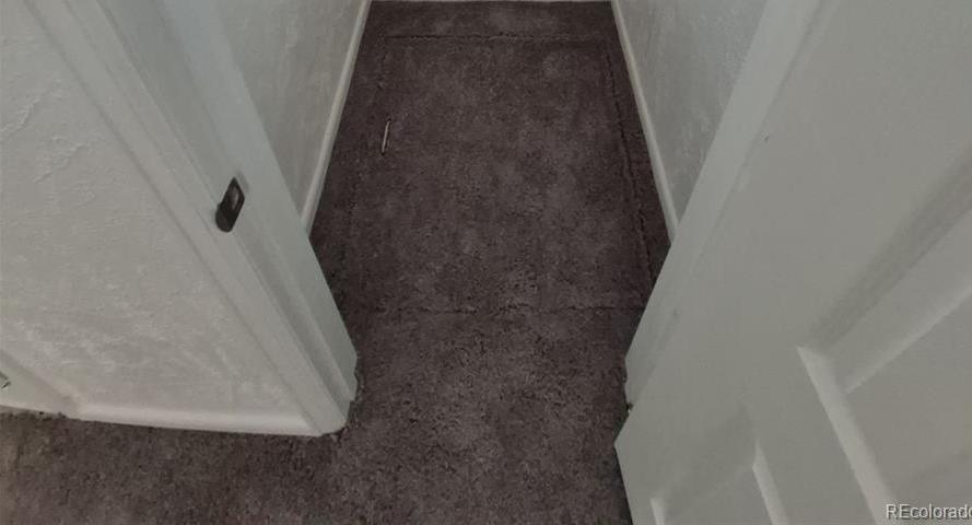Photo #15