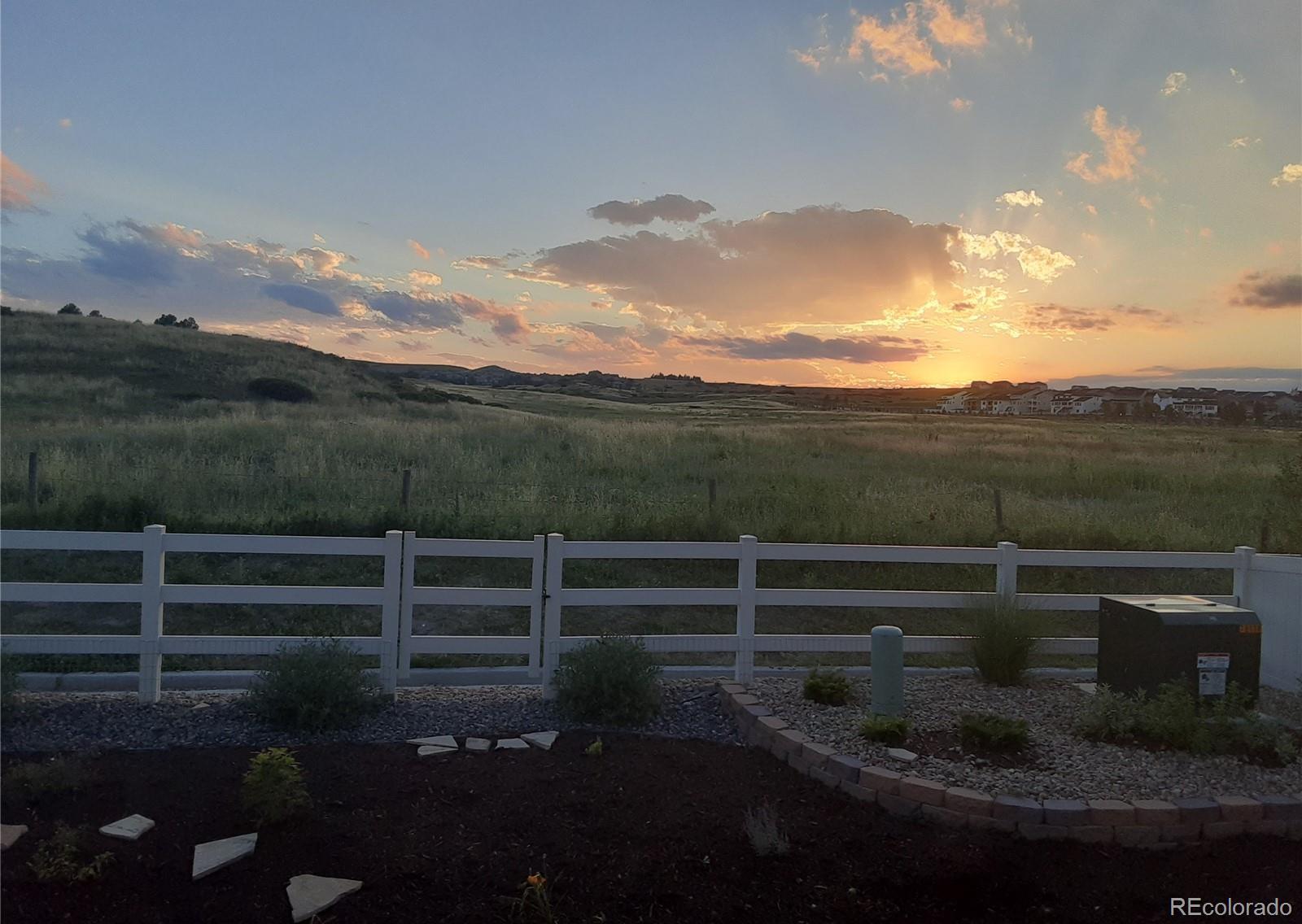 Photo #29