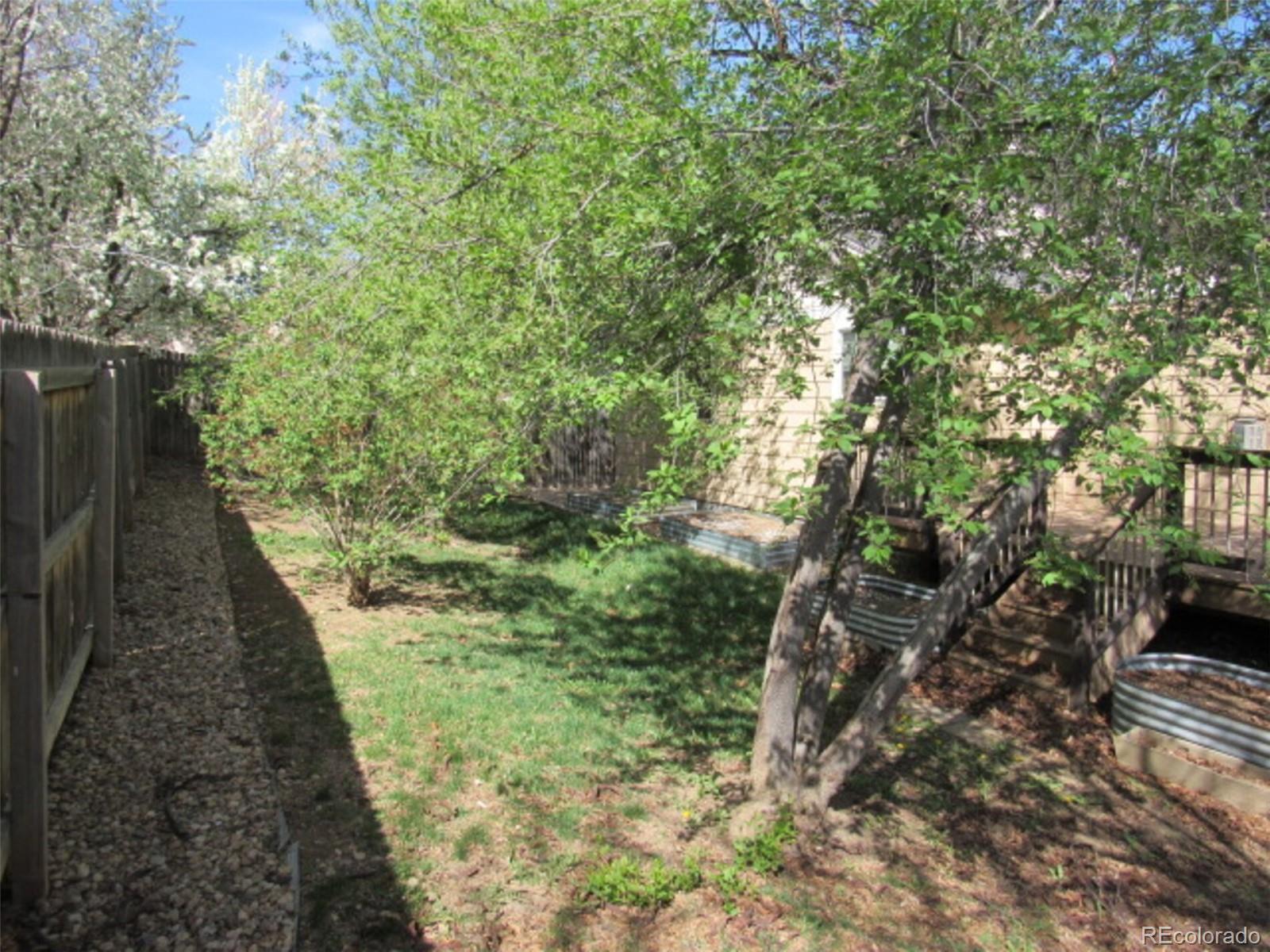 Photo #23