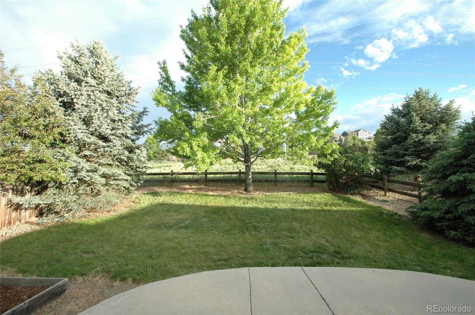 Photo #31