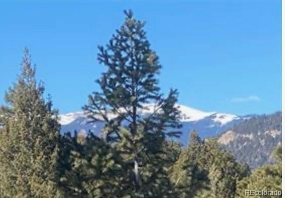 Photo #5