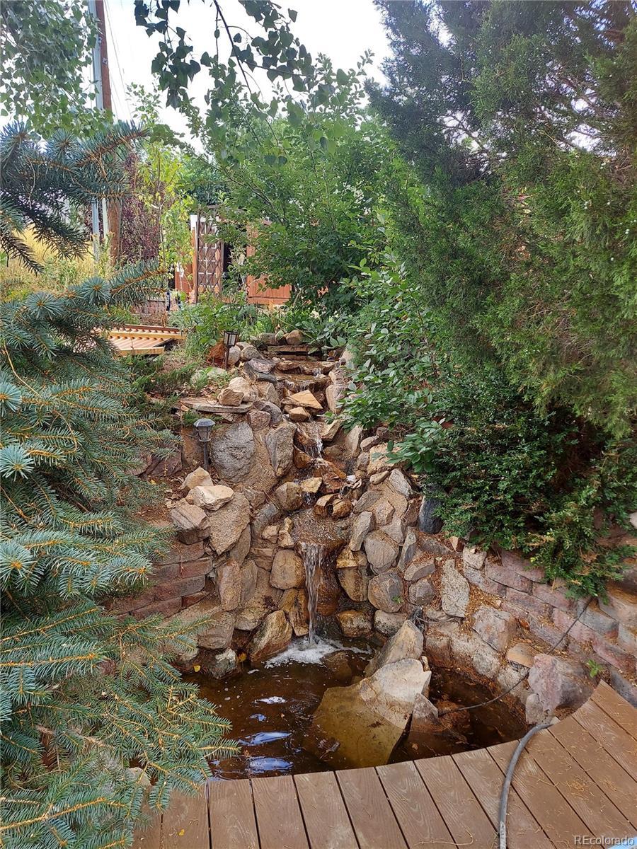 Photo #6