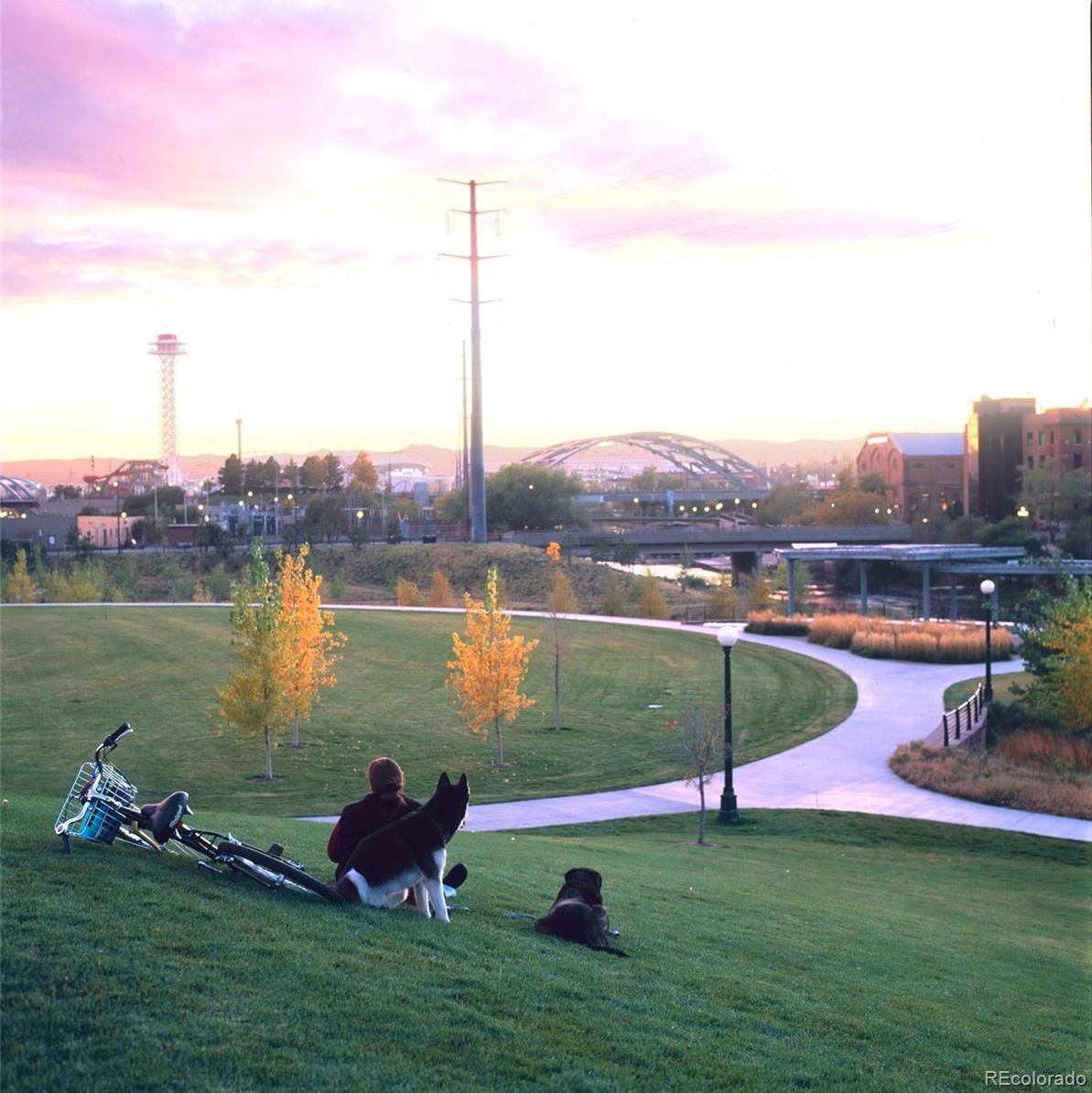 Photo #25