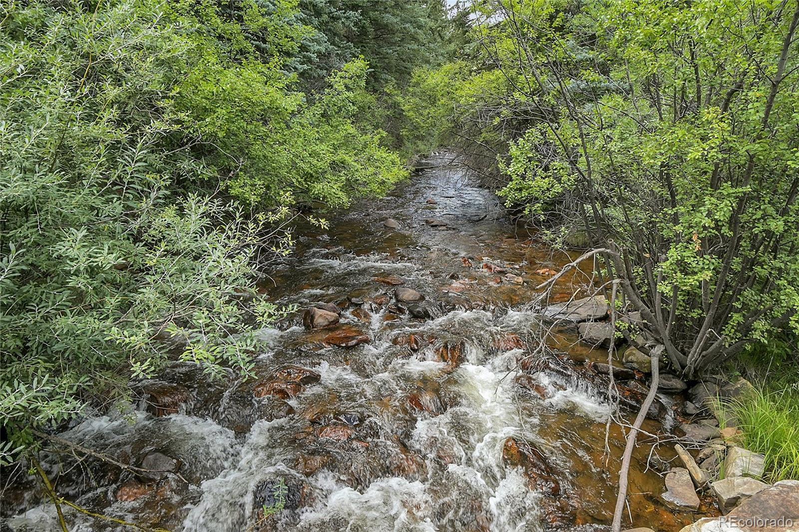 Photo #3