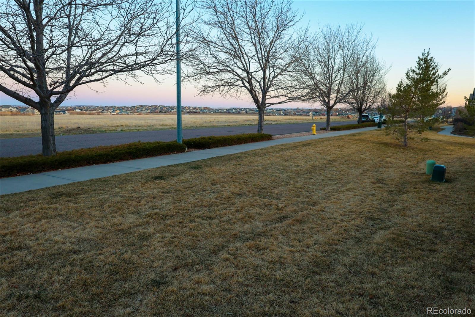 Photo #18
