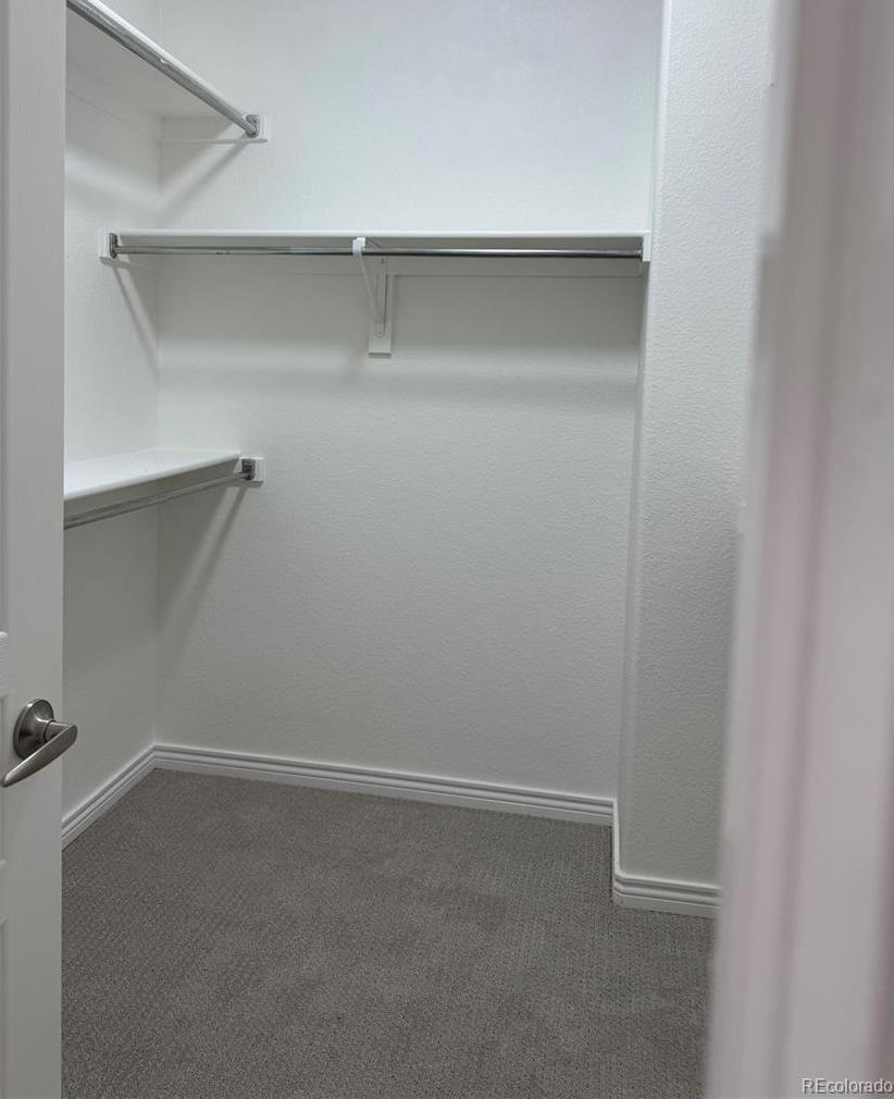 Photo #13