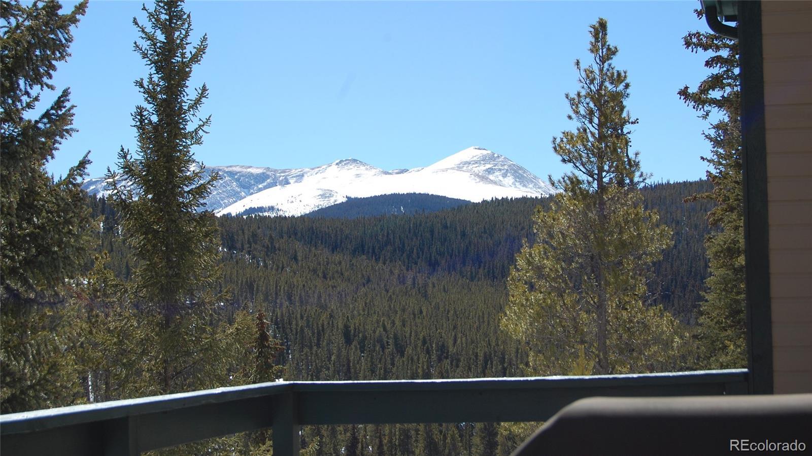 Photo #20