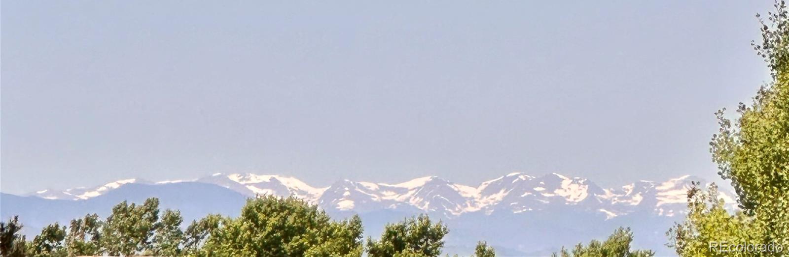Photo #37