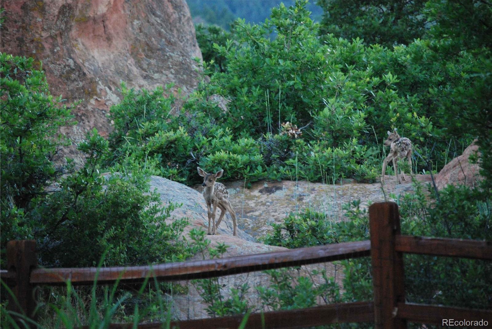 Photo #35