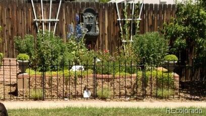 Photo #11