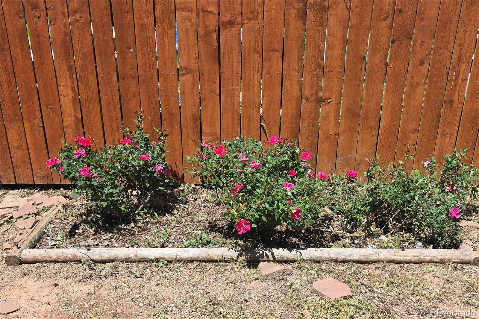 Photo #31