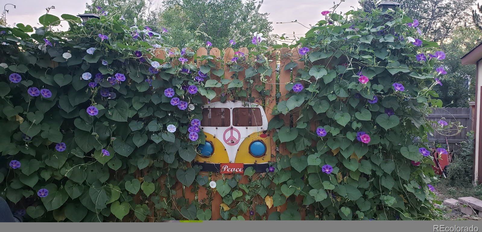 Photo #46