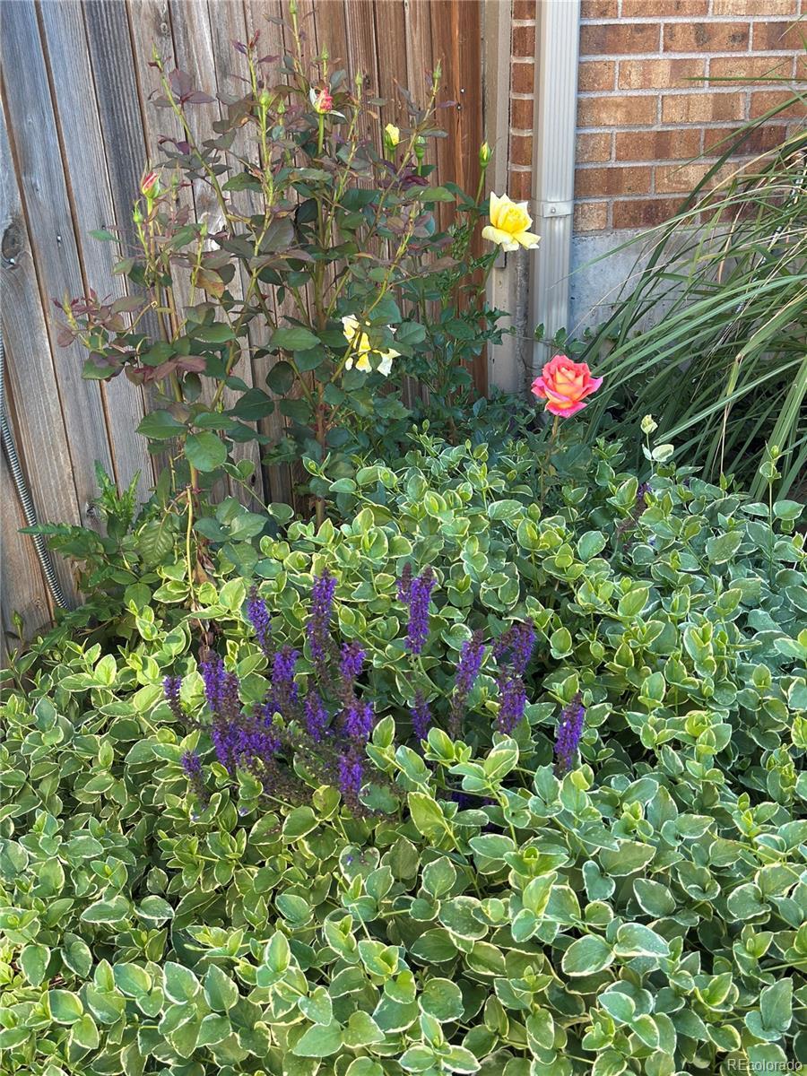 Photo #48