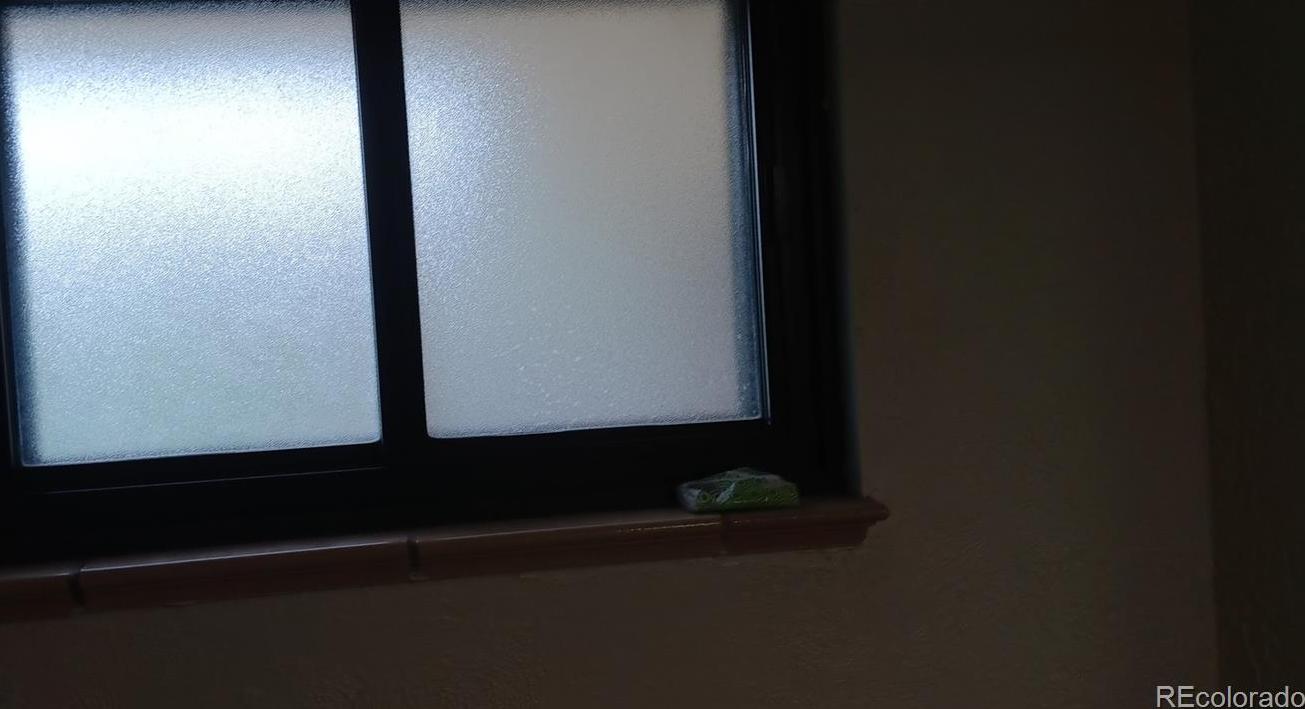 Photo #24