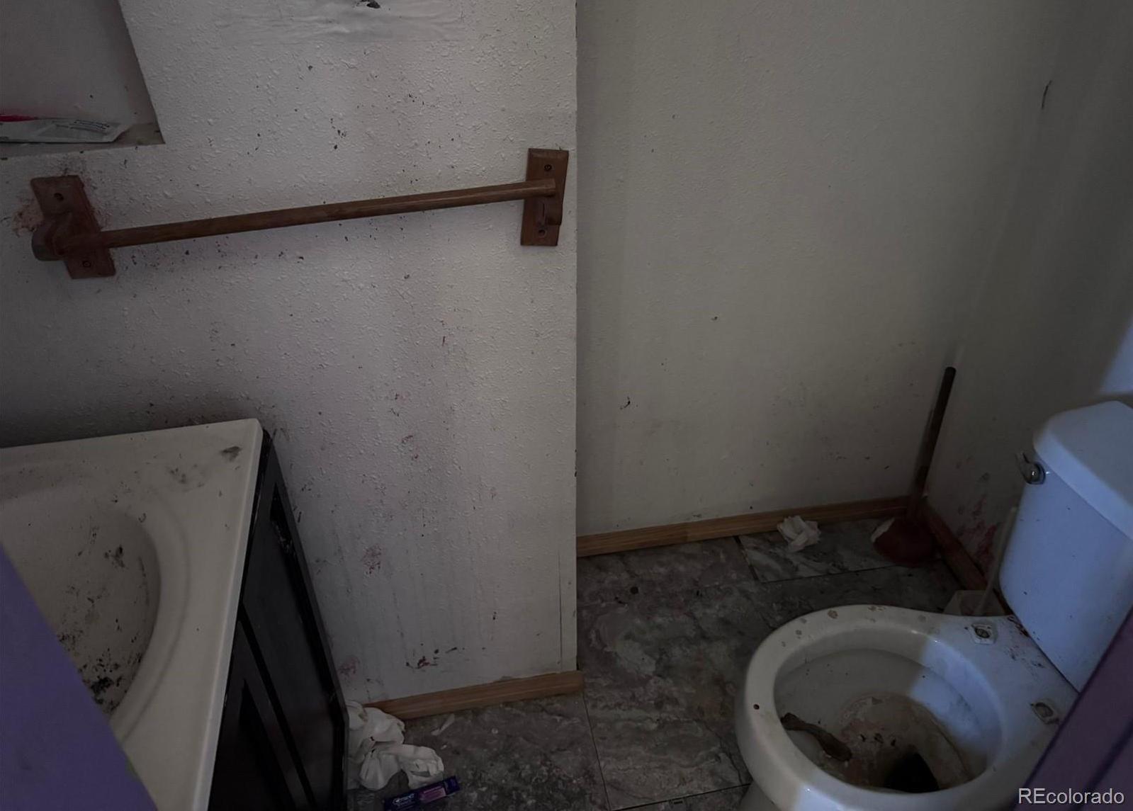 Photo #21