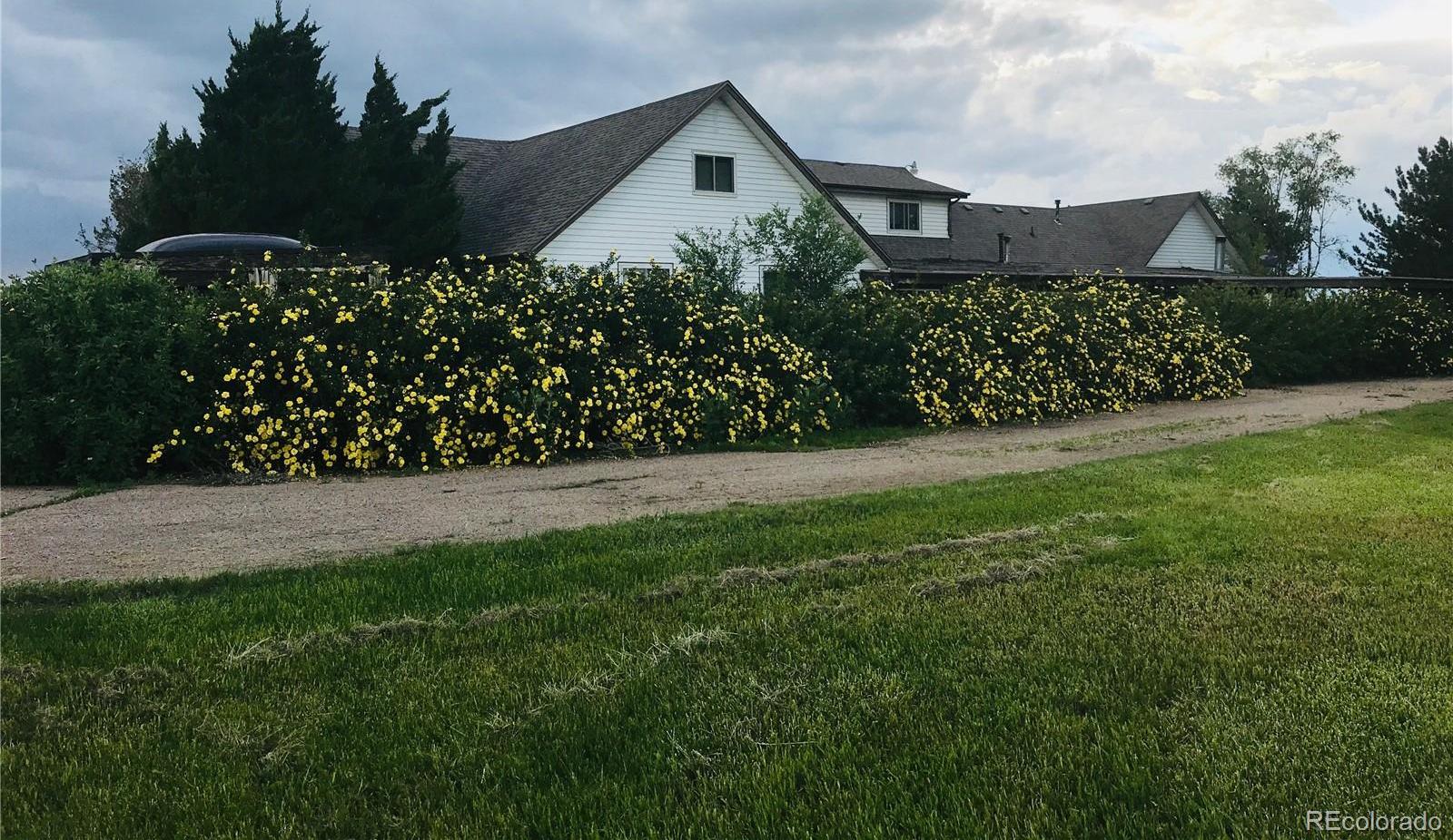 Photo #42
