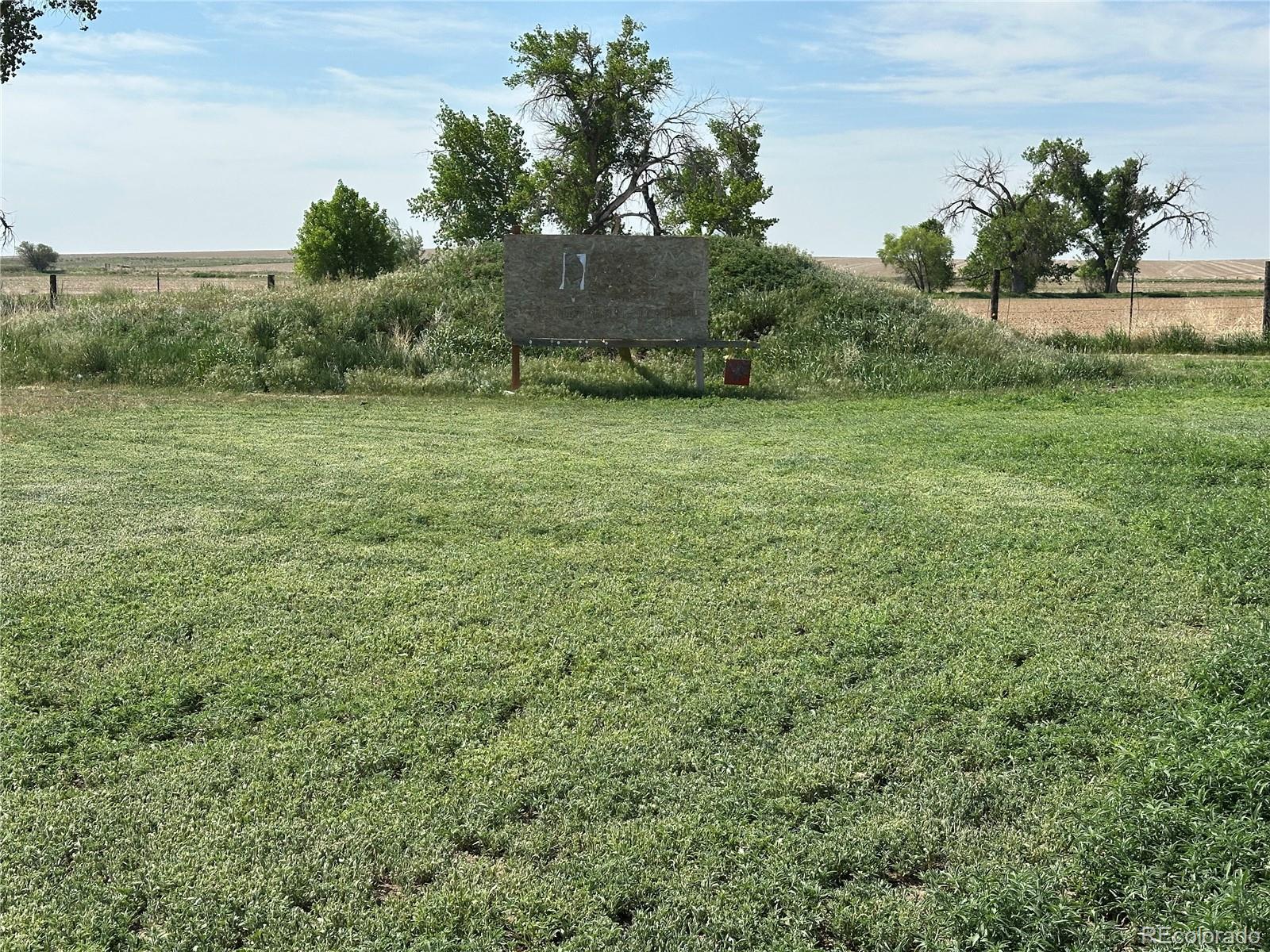 Photo #49